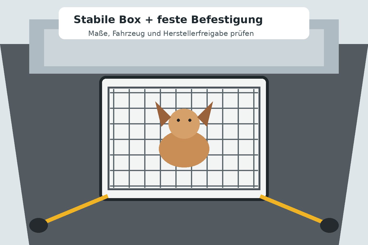 Schematische Darstellung einer stabil befestigten Hundebox im Fahrzeug